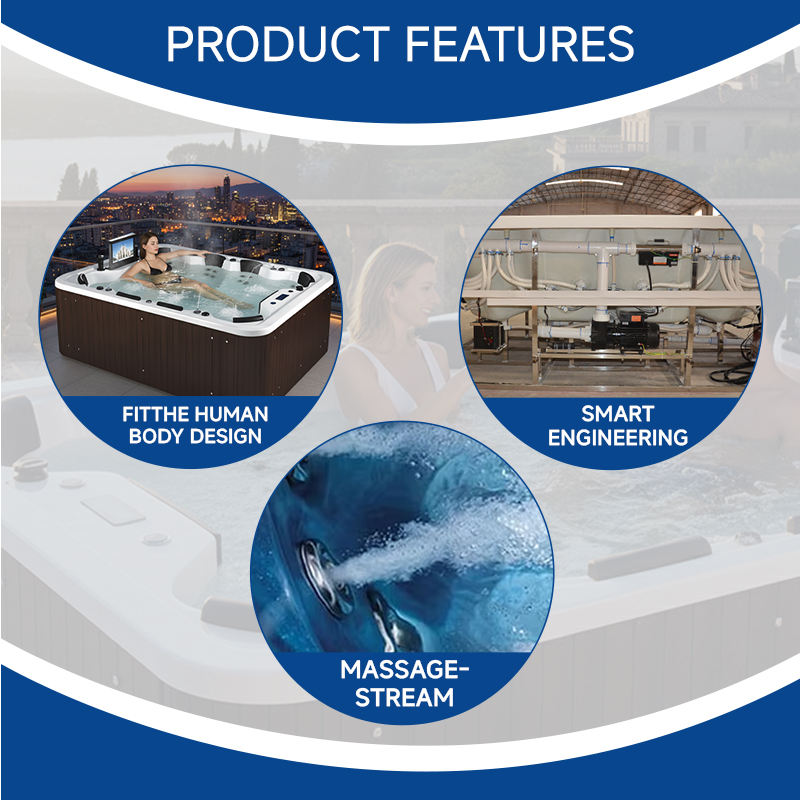 Sauna Sector 10-Person Modern Outdoor Whirlpool Hot Tub & Swim Spa S01150X107