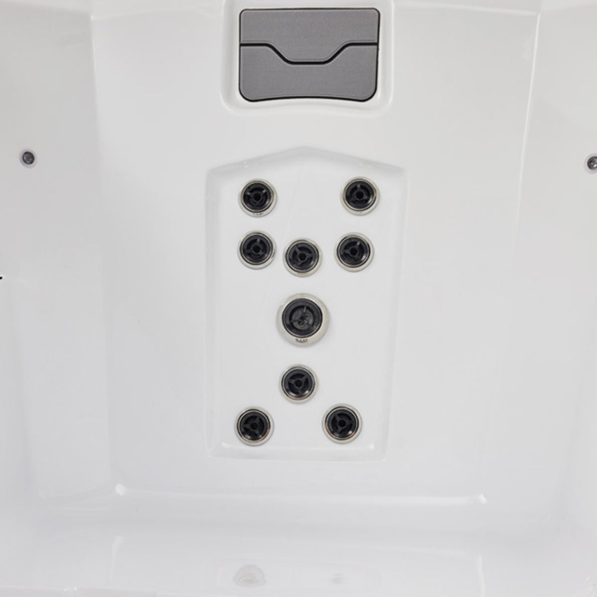 Sauna Sector Outdoor Modern Spa and Ice Bath Tub with Massage and 4 Speakers S01150X129